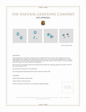 Jewelry Appraisal