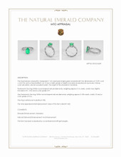 Jewelry Appraisal