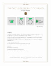 Jewelry Appraisal