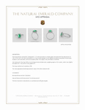 Jewelry Appraisal