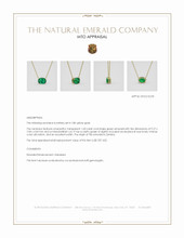 Jewelry Appraisal