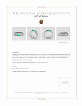 Jewelry Appraisal