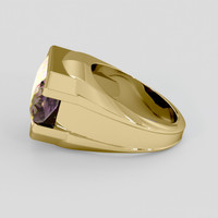 10.29 Ct. Bi Color Ametrine Ring, 10K Yellow Gold 4
