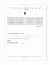 Jewelry Appraisal