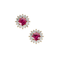 0.50 Ct.Tw. Ruby Earrings, 18K Yellow Gold 1