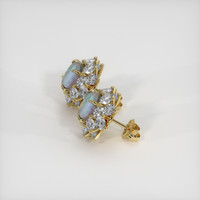 3.91 Ct.Tw. Gemstone Earrings, 18K Yellow Gold 3