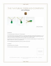 Jewelry Appraisal