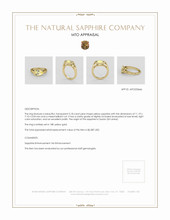 Jewelry Appraisal