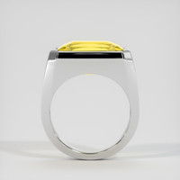 13.37 Ct. Gemstone Ring, 14K White Gold 3
