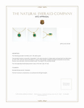 Jewelry Appraisal