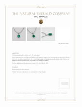 Jewelry Appraisal