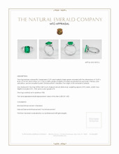 Jewelry Appraisal