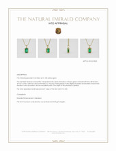 Jewelry Appraisal
