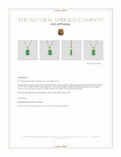 Jewelry Appraisal