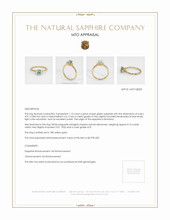Jewelry Appraisal