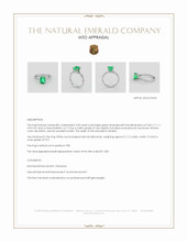 Jewelry Appraisal