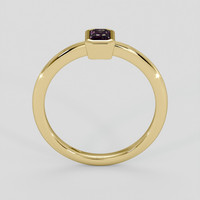 0.48 Ct. Bi Color / Parti Sapphire Ring, 10K Yellow Gold 3