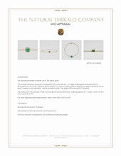 Jewelry Appraisal