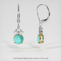 <span>1.00</span>&nbsp;<span class="tooltip-light">Ct.Tw.<span class="tooltiptext">Total Carat Weight</span></span> Gemstone Earrings, 14K Yellow & White 2