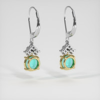 <span>1.00</span>&nbsp;<span class="tooltip-light">Ct.Tw.<span class="tooltiptext">Total Carat Weight</span></span> Gemstone Earrings, 14K Yellow & White 4