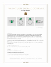 Jewelry Appraisal