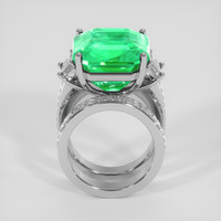 17.22 Ct. Emerald Ring, 18K White Gold 3
