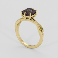 3.06 Ct. Reddish Brown Garnet Ring, 10K Yellow Gold 2
