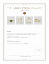 Jewelry Appraisal