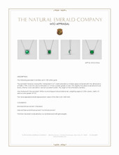 Jewelry Appraisal