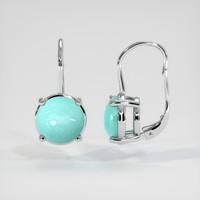 <span>0.87</span>&nbsp;<span class="tooltip-light">Ct.Tw.<span class="tooltiptext">Total Carat Weight</span></span> Gemstone Earrings, 14K White Gold 2