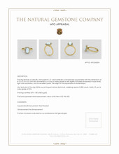 Jewelry Appraisal