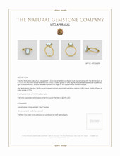 Jewelry Appraisal
