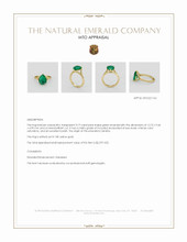 Jewelry Appraisal
