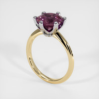 2.79 Ct. Gemstone Ring, 14K White & Yellow 2