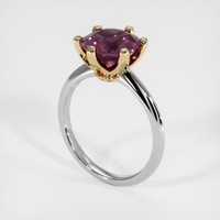 2.79 Ct. Gemstone Ring, 14K Yellow & White 2