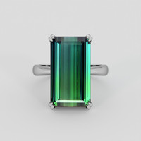 14.80 Ct. Bluish Green Tourmaline Ring, 18K White Gold 1