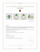 Jewelry Appraisal