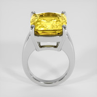 29.17 Ct. Yellow Sapphire Ring, 14K White Gold 3