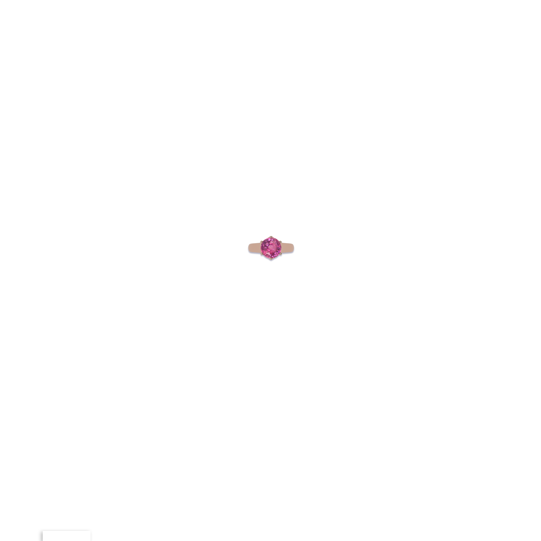 Jewelry image on model