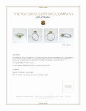 Jewelry Appraisal