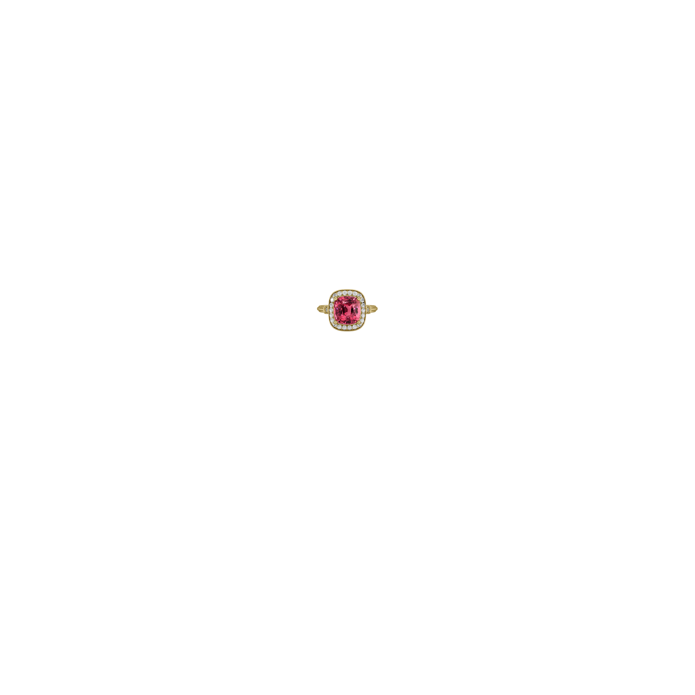 Jewelry image on model