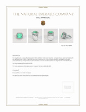 Jewelry Appraisal