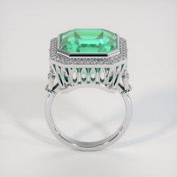 10.04 Ct. Emerald Ring, 18K White Gold 3