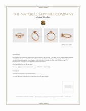 Jewelry Appraisal