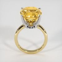 8.80 Ct. Gemstone Ring, 14K White & Yellow 3