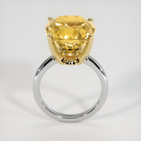 8.80 Ct. Gemstone Ring, 14K Yellow & White 3