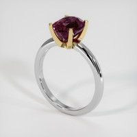 2.83 Ct. Gemstone Ring, 14K Yellow & White 2