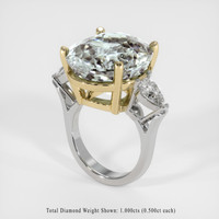 18.94 Ct. Gemstone Ring, 14K Yellow & White 2