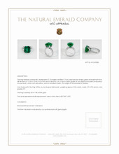 Pave Emerald Ring 10.64 Ct., 18K White Gold Appraisal