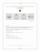 Jewelry Appraisal